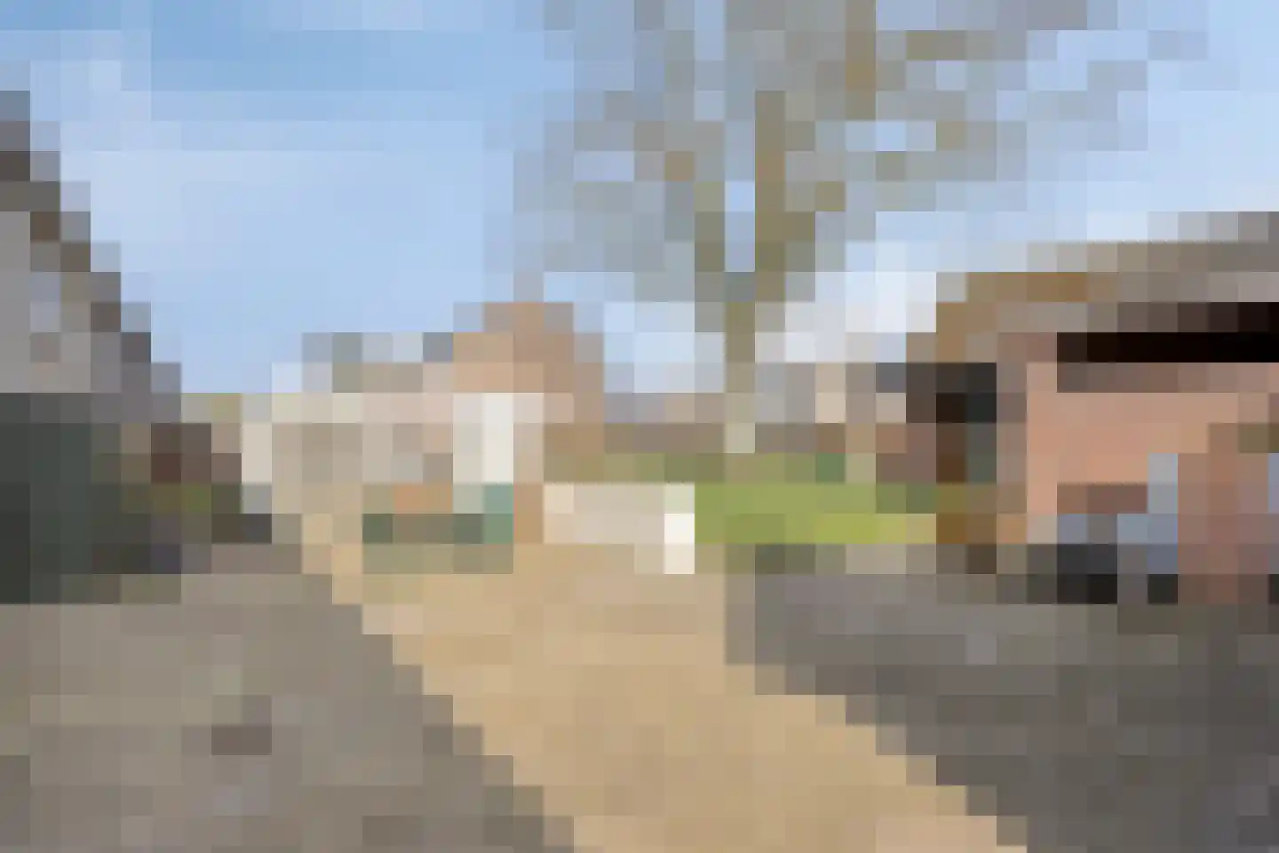 Waalstraat 124 Eindhoven thumbnail 16