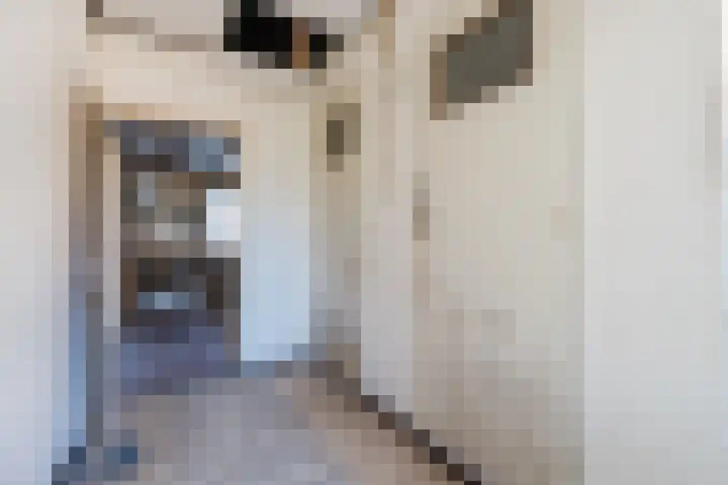 Waalstraat 124 Eindhoven thumbnail 18
