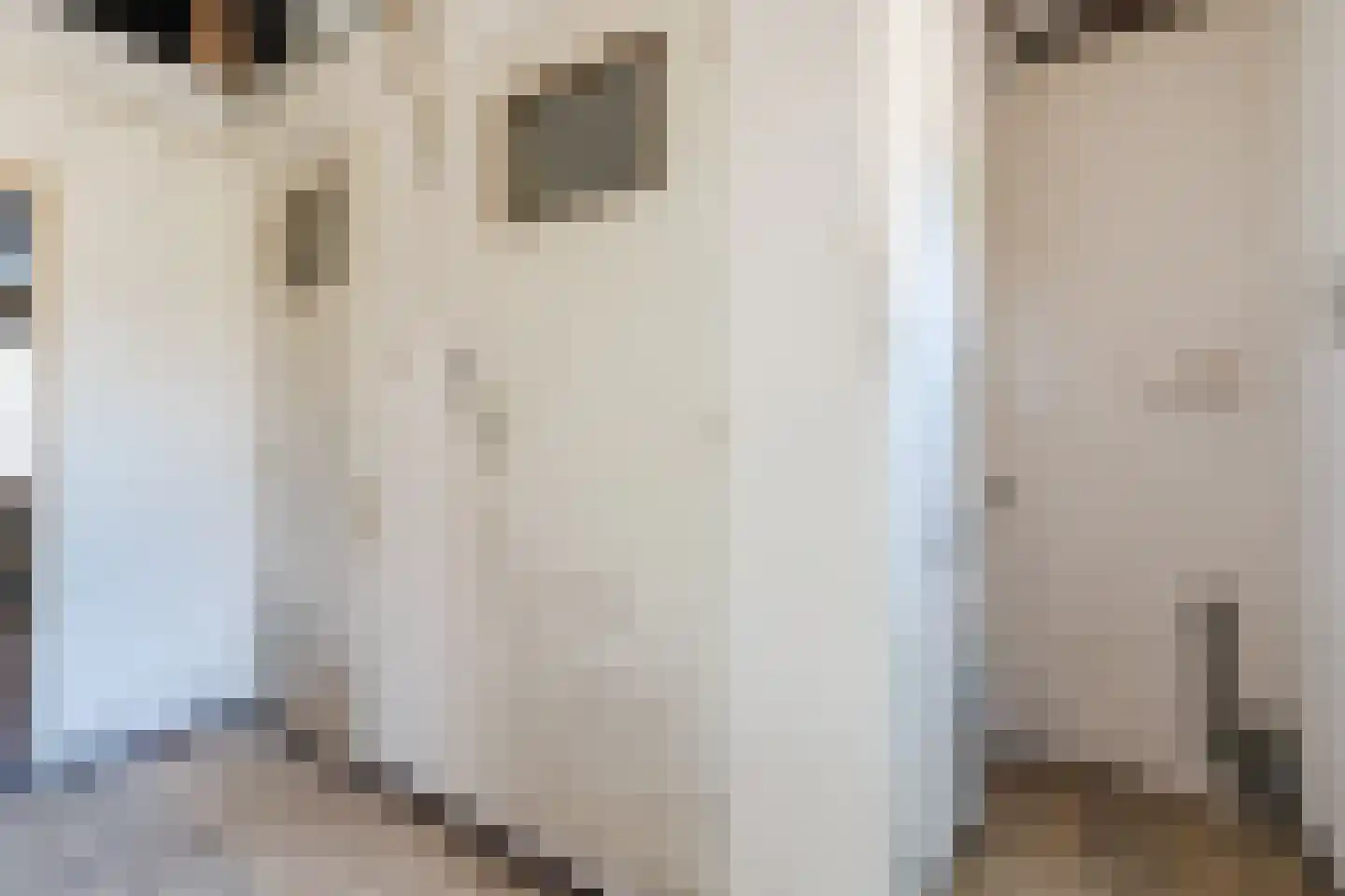 Waalstraat 124 Eindhoven thumbnail 19
