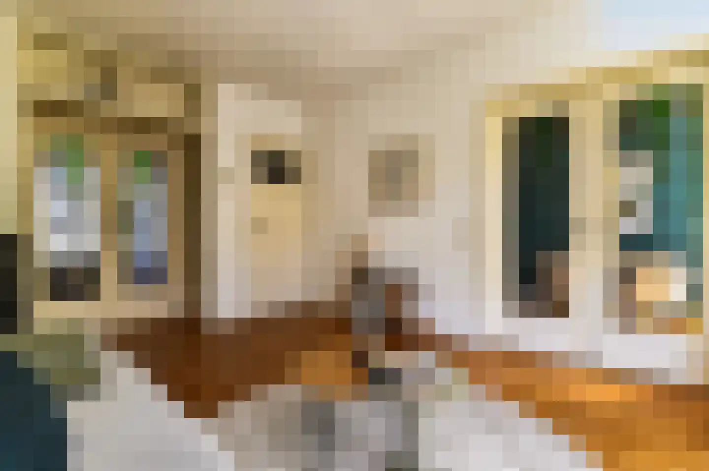 Waalstraat 125 2 Amsterdam thumbnail 9