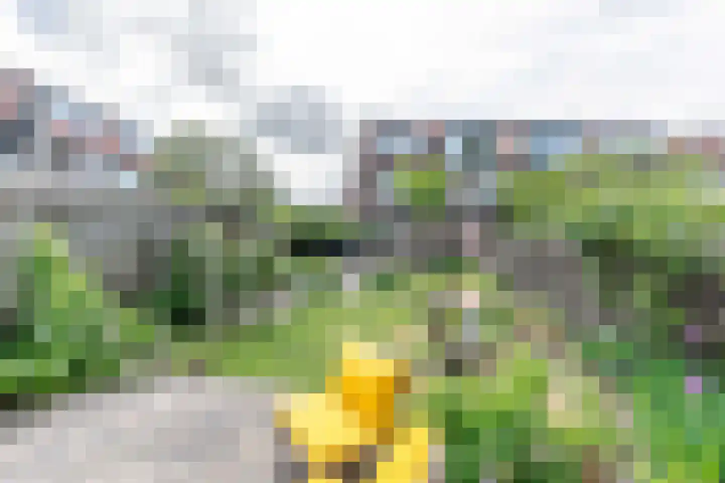 Waalstraat 13 Amersfoort thumbnail 21