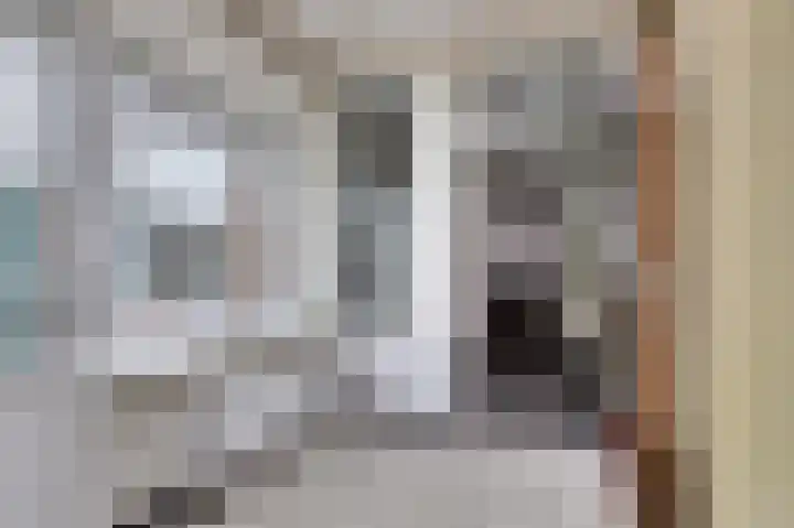 Waalstraat 15 Hansweert thumbnail 14