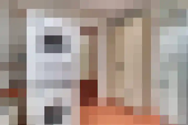 Waalstraat 15 Hansweert thumbnail 20