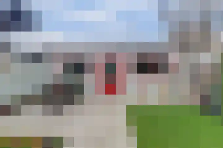 Waalstraat 15 Hansweert thumbnail 26