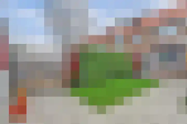 Waalstraat 15 Hansweert thumbnail 27