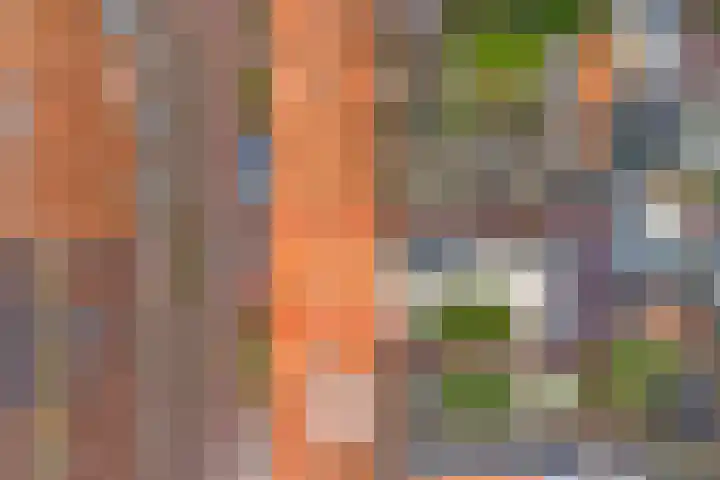 Waalstraat 15 Hansweert thumbnail 28
