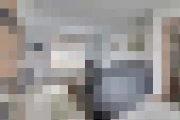 Waalstraat 15 Hansweert thumbnail 7