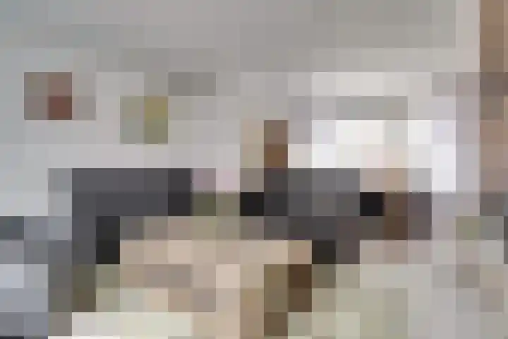 Waalstraat 15 Hansweert thumbnail 8