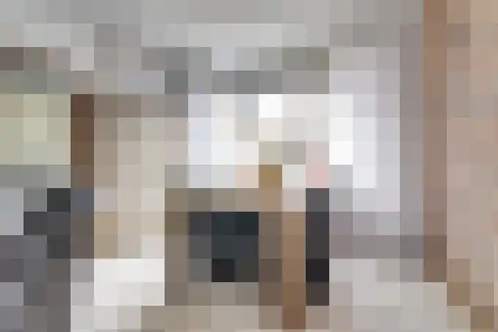 Waalstraat 15 Hansweert thumbnail 9