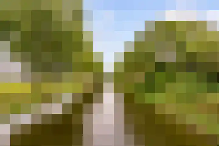 Waalstraat 151 Almere thumbnail 40