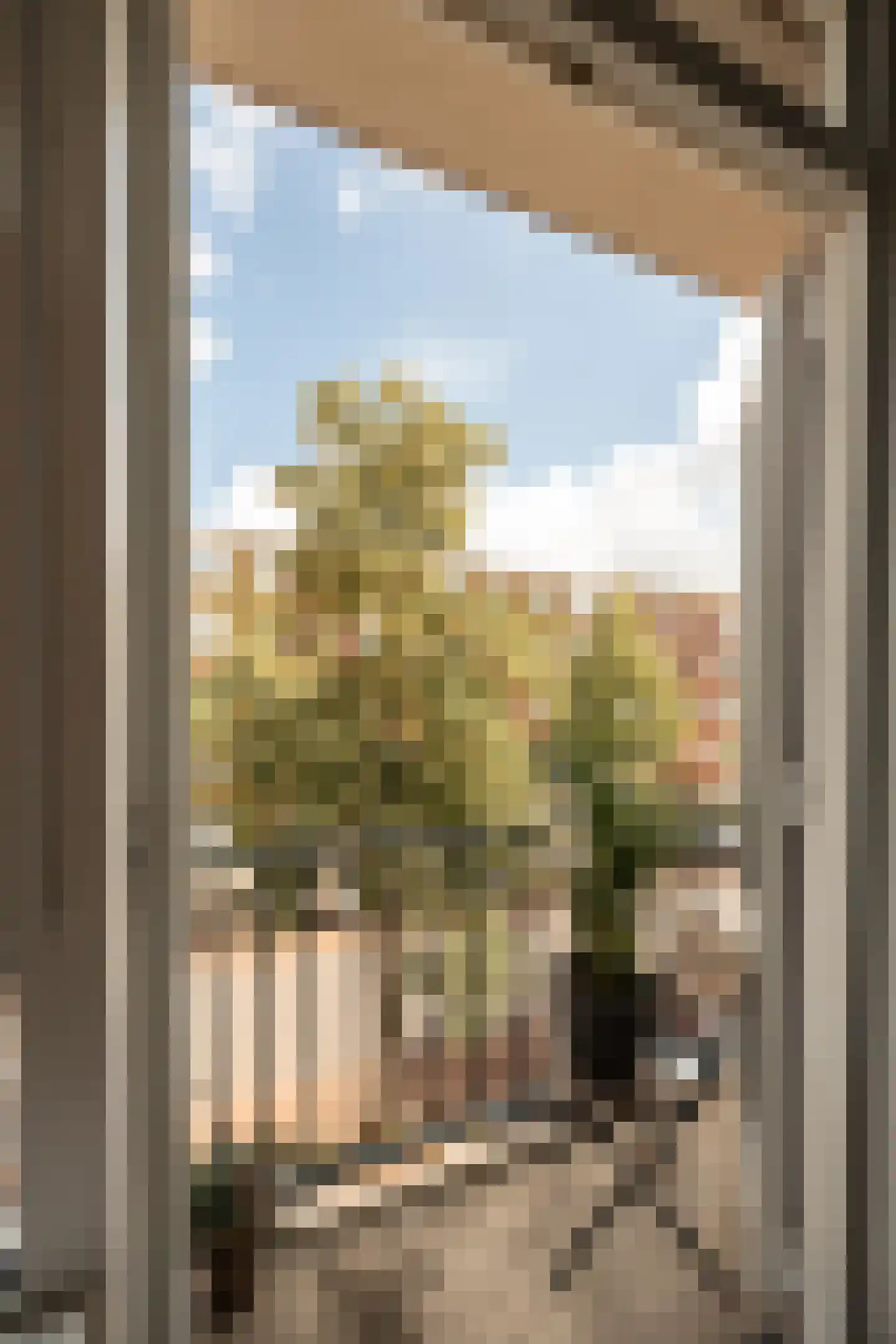 Waalstraat 156 2 Amsterdam thumbnail 17