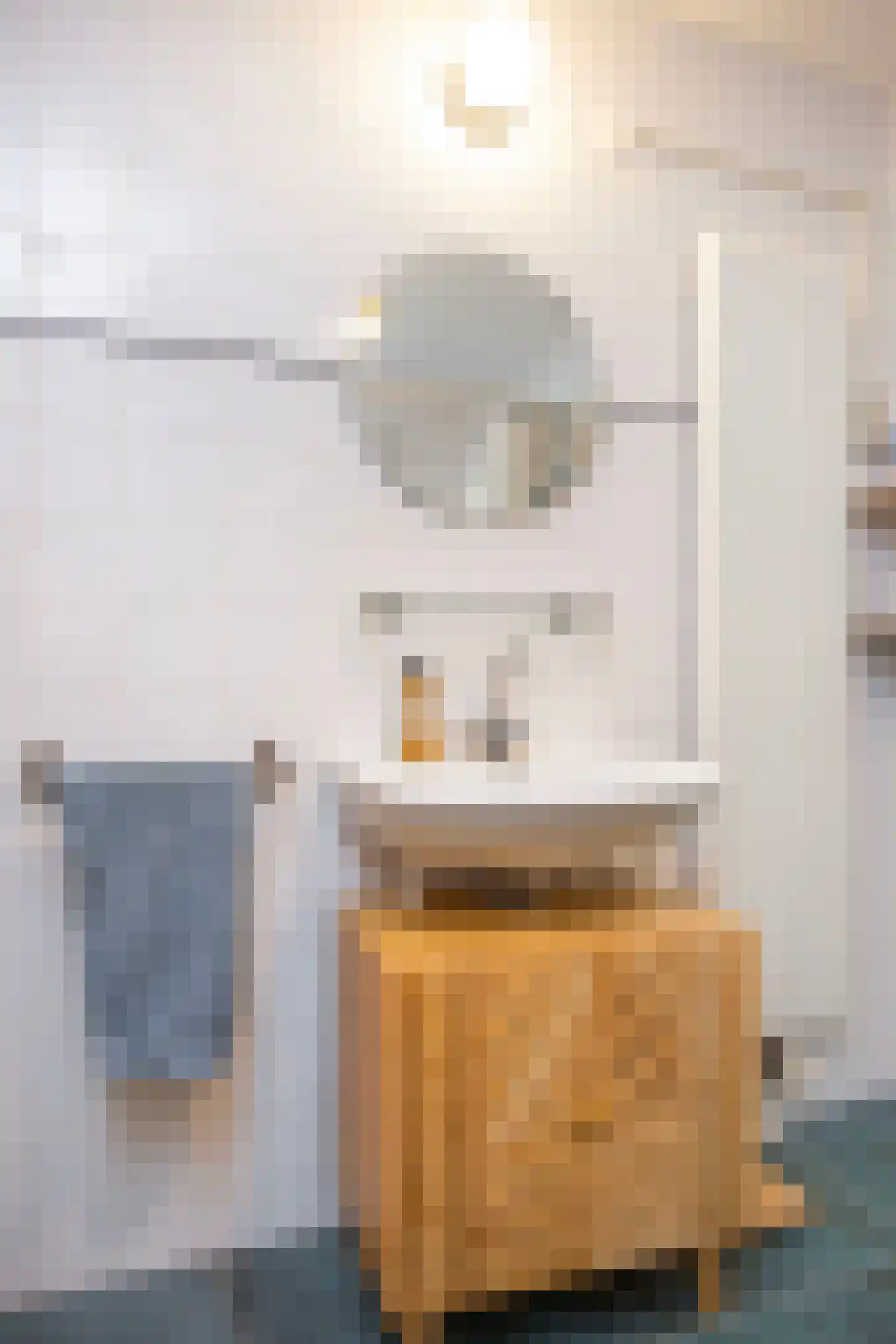 Waalstraat 156 D Utrecht thumbnail 33