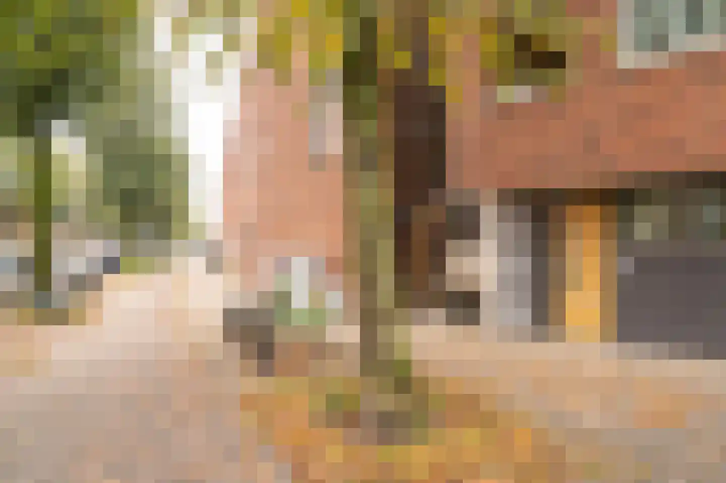 Waalstraat 156 D Utrecht thumbnail 7