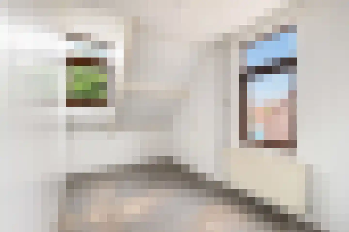 Waalstraat 16 Krimpen aan den IJssel thumbnail 17