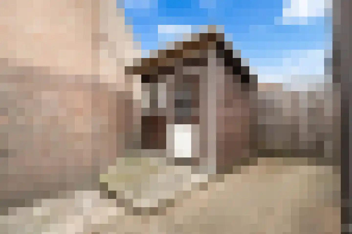 Waalstraat 16 Krimpen aan den IJssel thumbnail 21