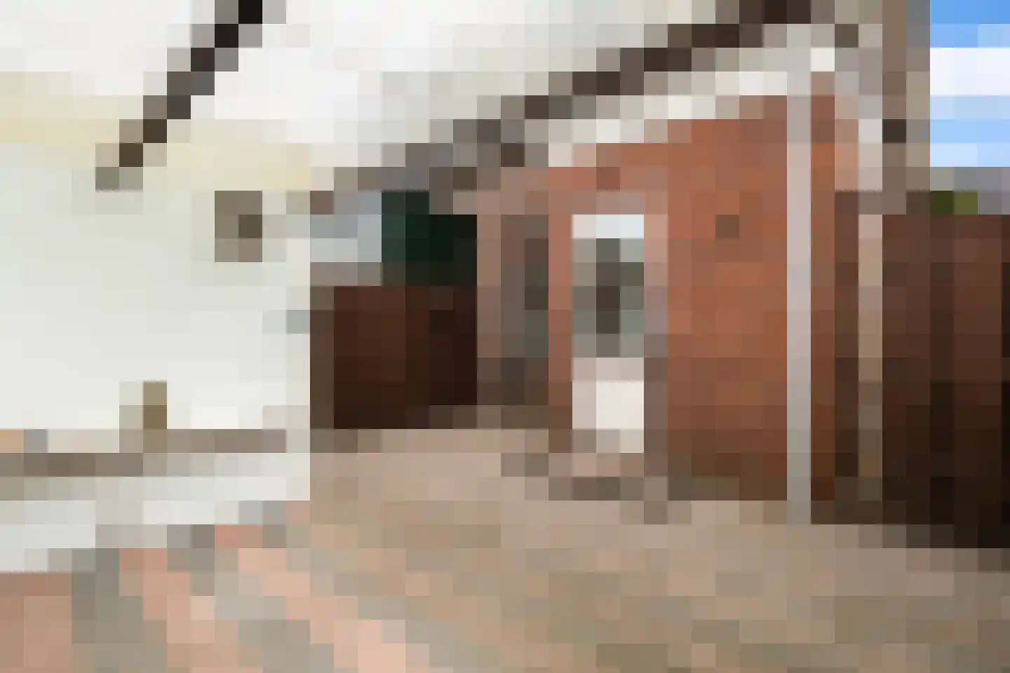 Waalstraat 16 Krimpen aan den IJssel thumbnail 23