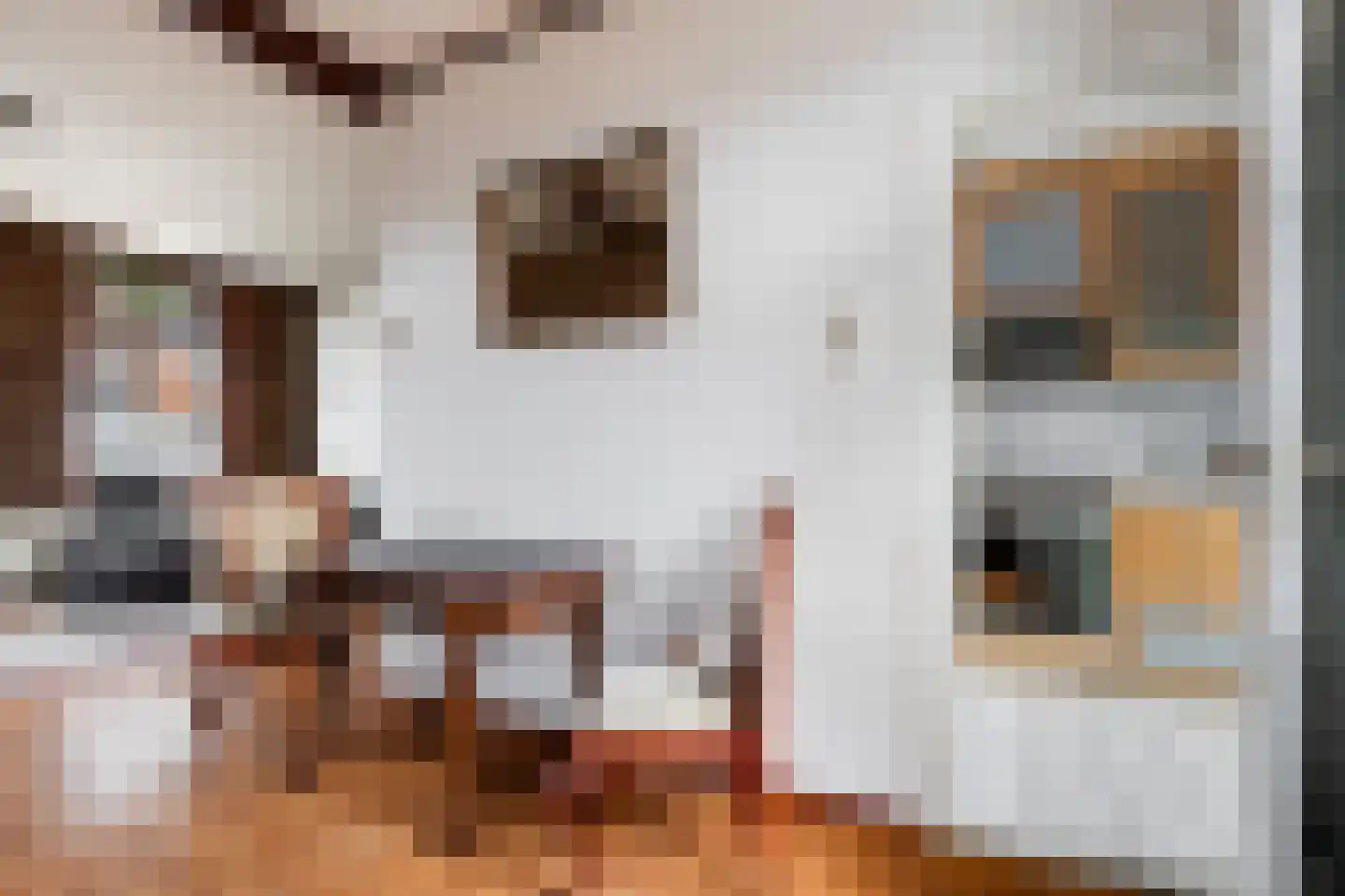 Waalstraat 16 Krimpen aan den IJssel thumbnail 7
