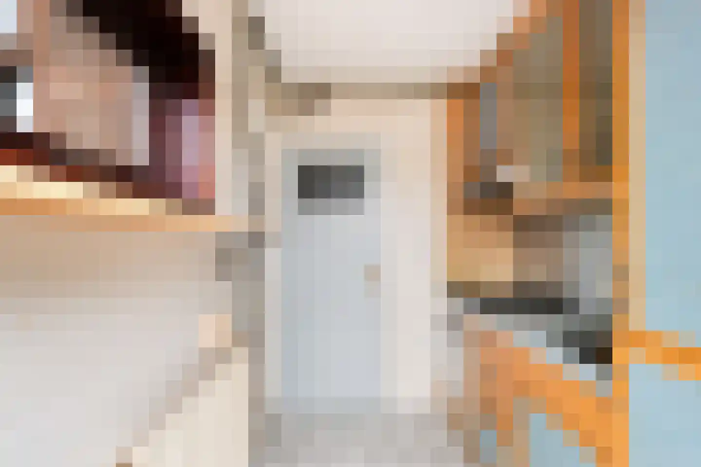 Waalstraat 16 Krimpen aan den IJssel thumbnail 8