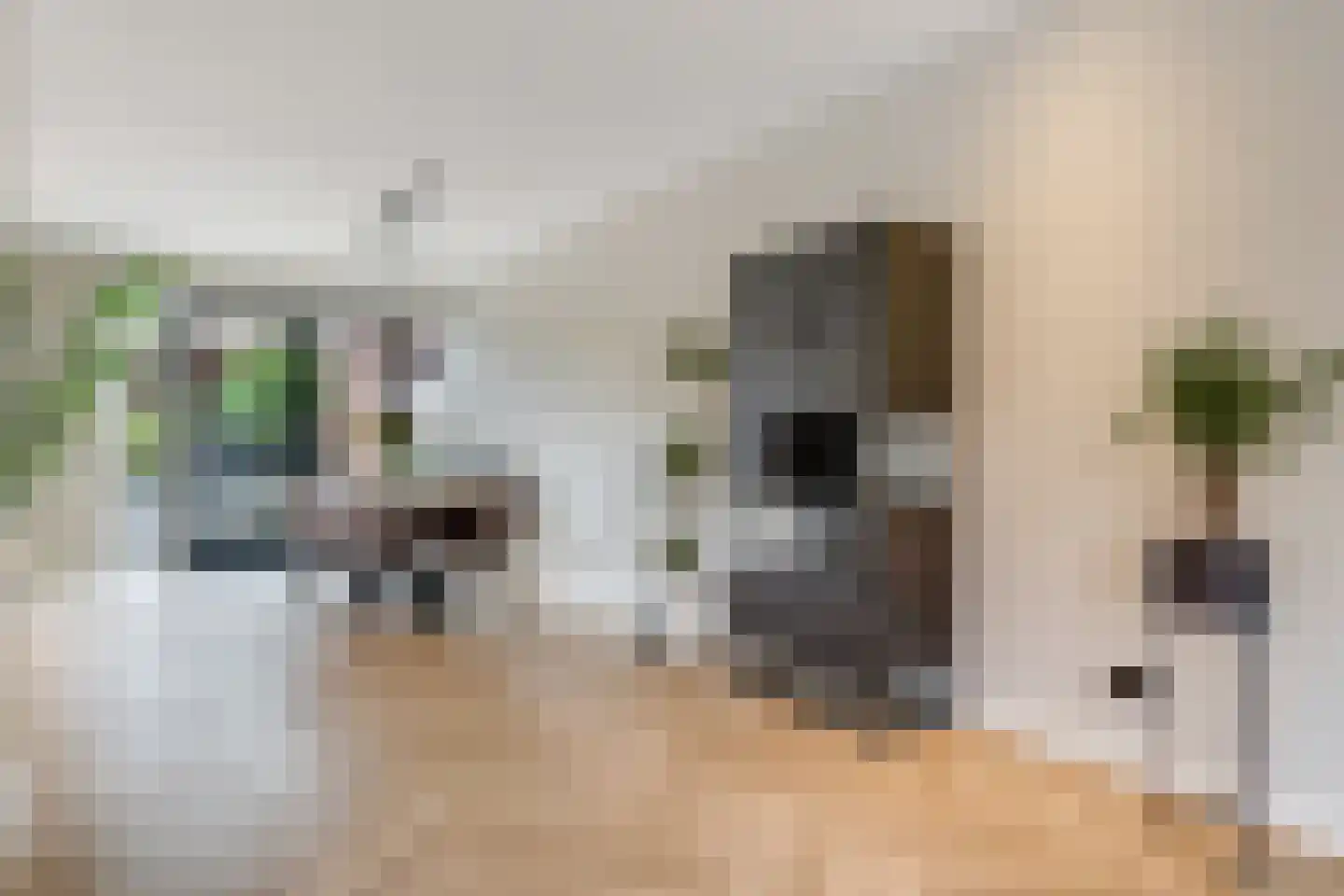Waalstraat 16 Nijverdal thumbnail 7