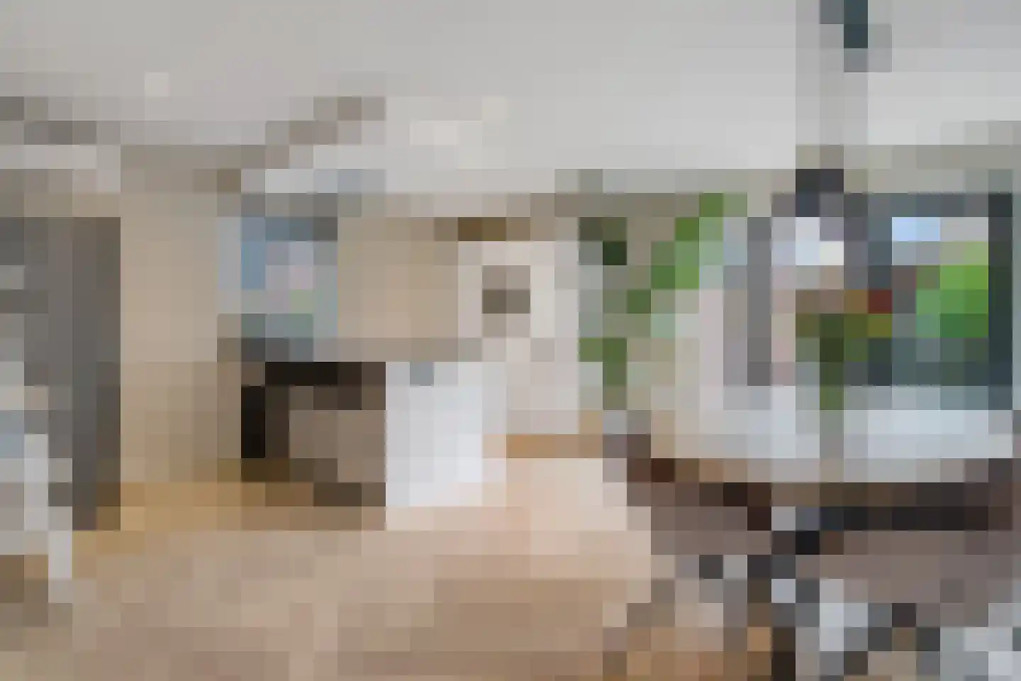 Waalstraat 16 Nijverdal thumbnail 8
