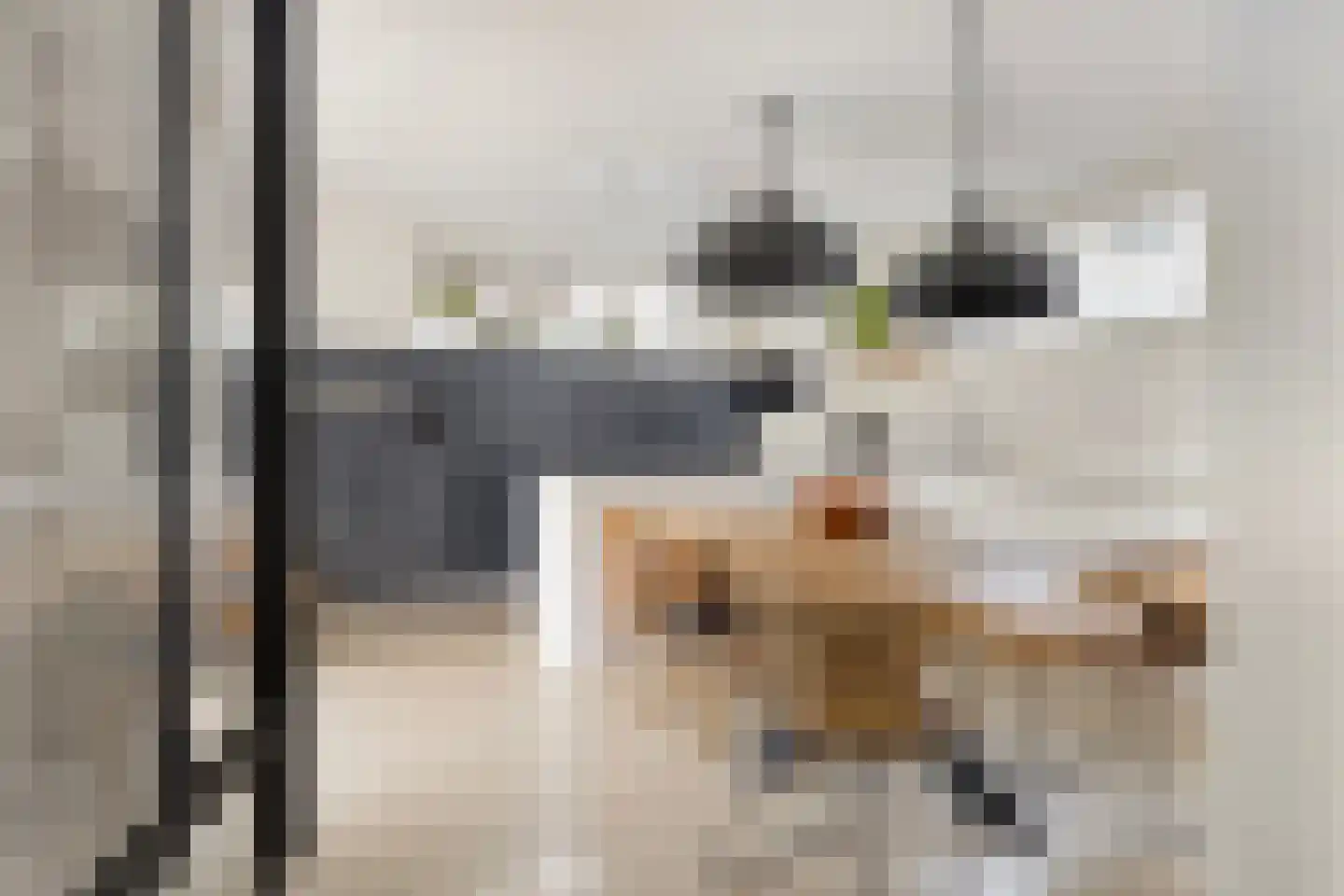 Waalstraat 19 Krimpen aan den IJssel thumbnail 11