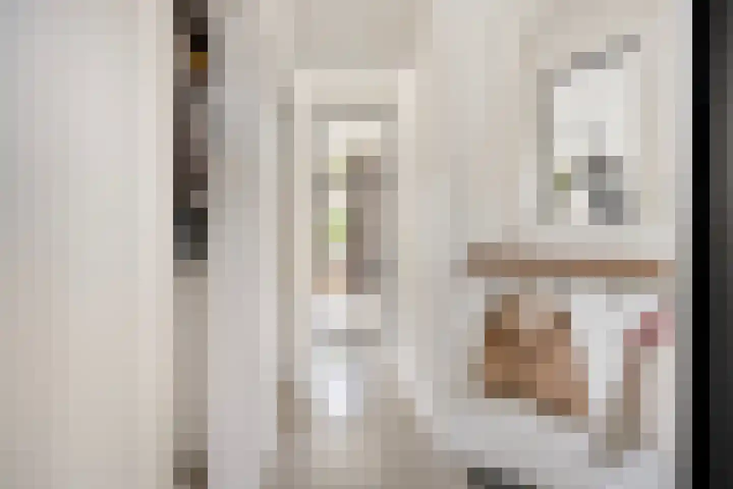 Waalstraat 19 Krimpen aan den IJssel thumbnail 21