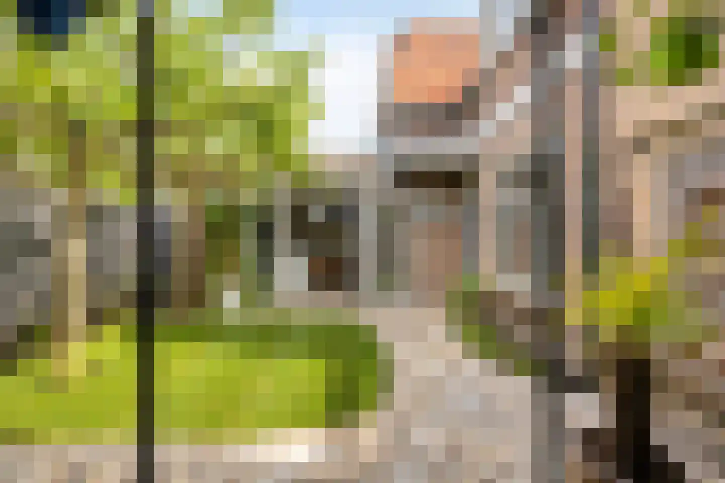 Waalstraat 19 Krimpen aan den IJssel thumbnail 38