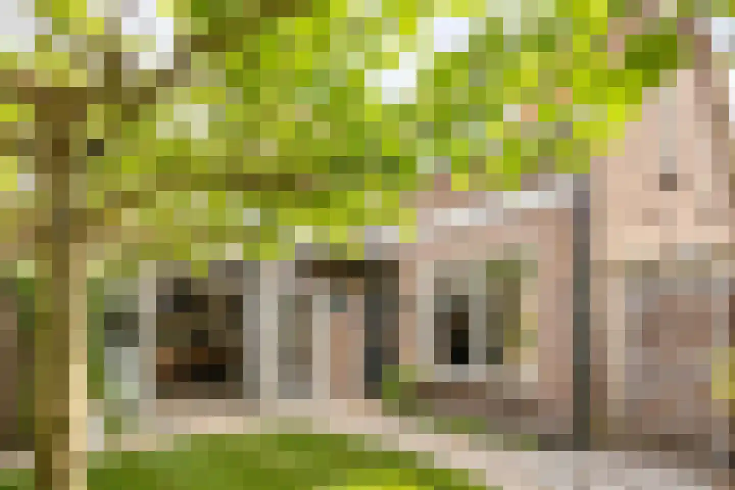 Waalstraat 19 Krimpen aan den IJssel thumbnail 39