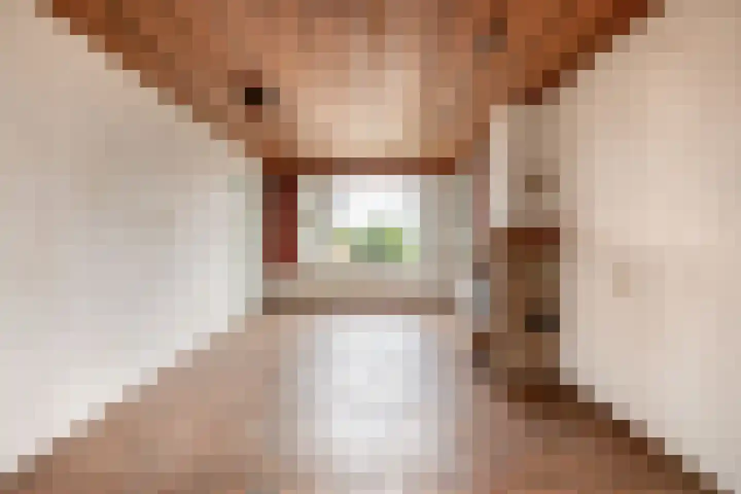 Waalstraat 19 Rhoon thumbnail 10