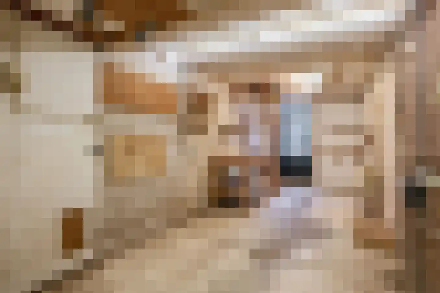Waalstraat 19 Rhoon thumbnail 30