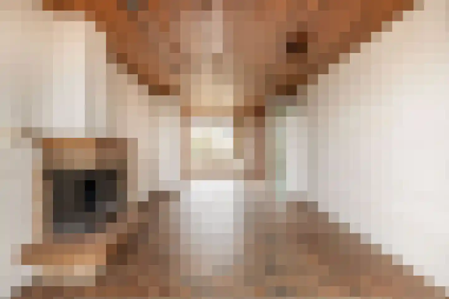 Waalstraat 19 Rhoon thumbnail 9