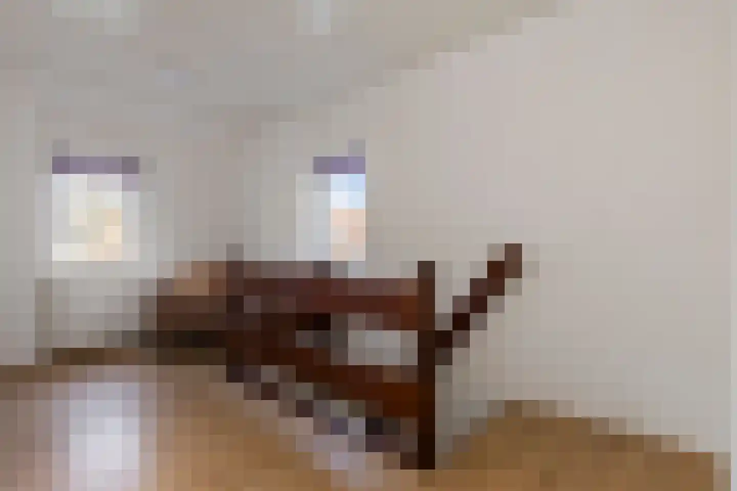 Waalstraat 2 c Krimpen aan den IJssel thumbnail 31