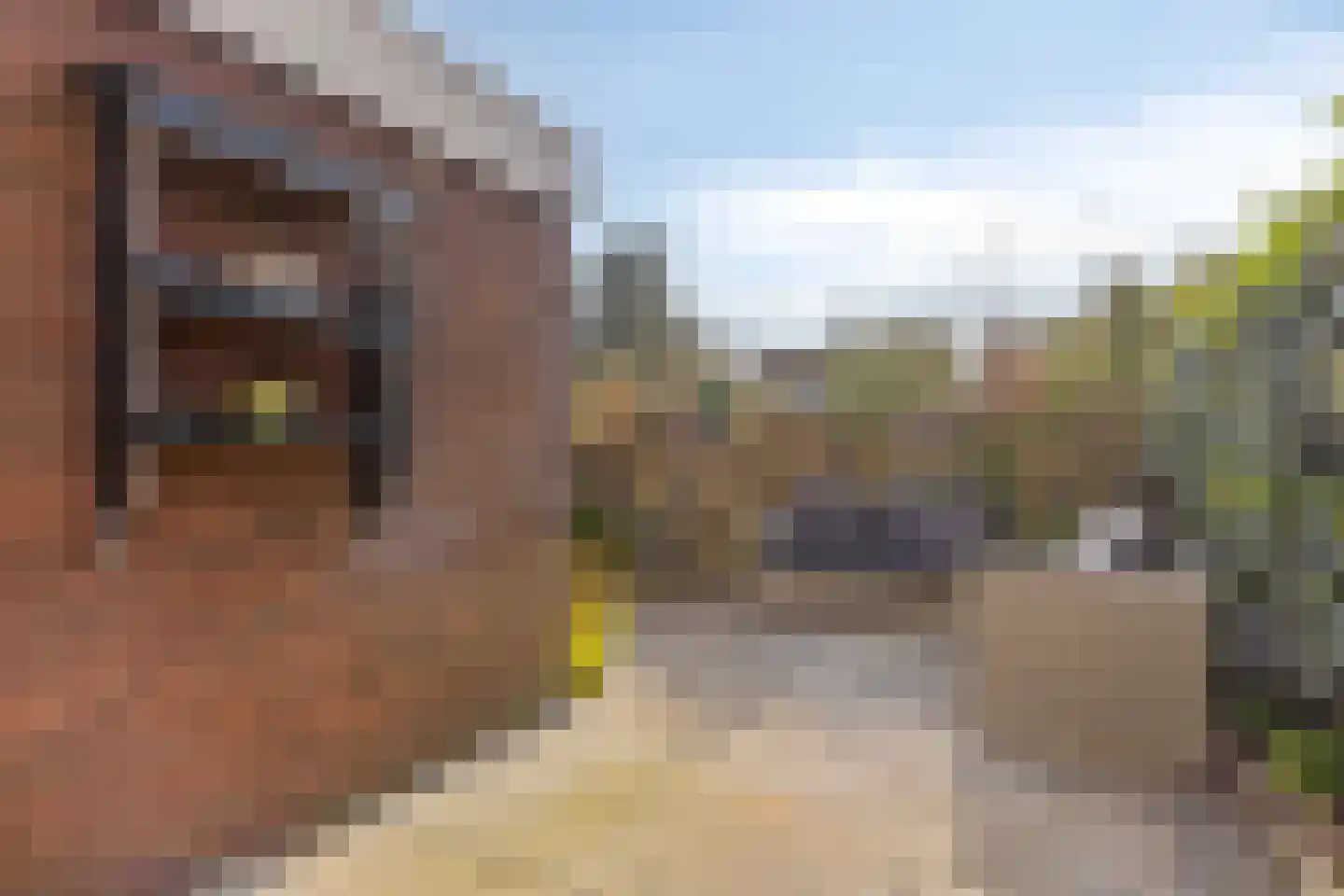 Waalstraat 2 c Krimpen aan den IJssel thumbnail 52