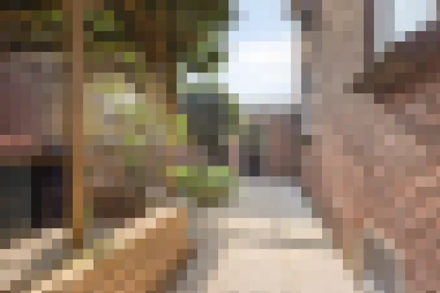 Waalstraat 2 c Krimpen aan den IJssel thumbnail 56