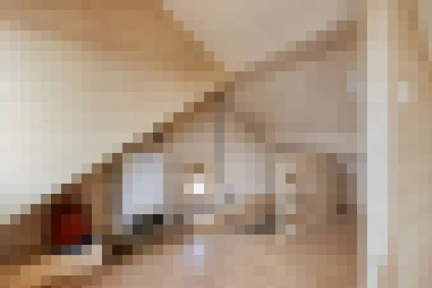 Waalstraat 2 d Krimpen aan den IJssel thumbnail 19