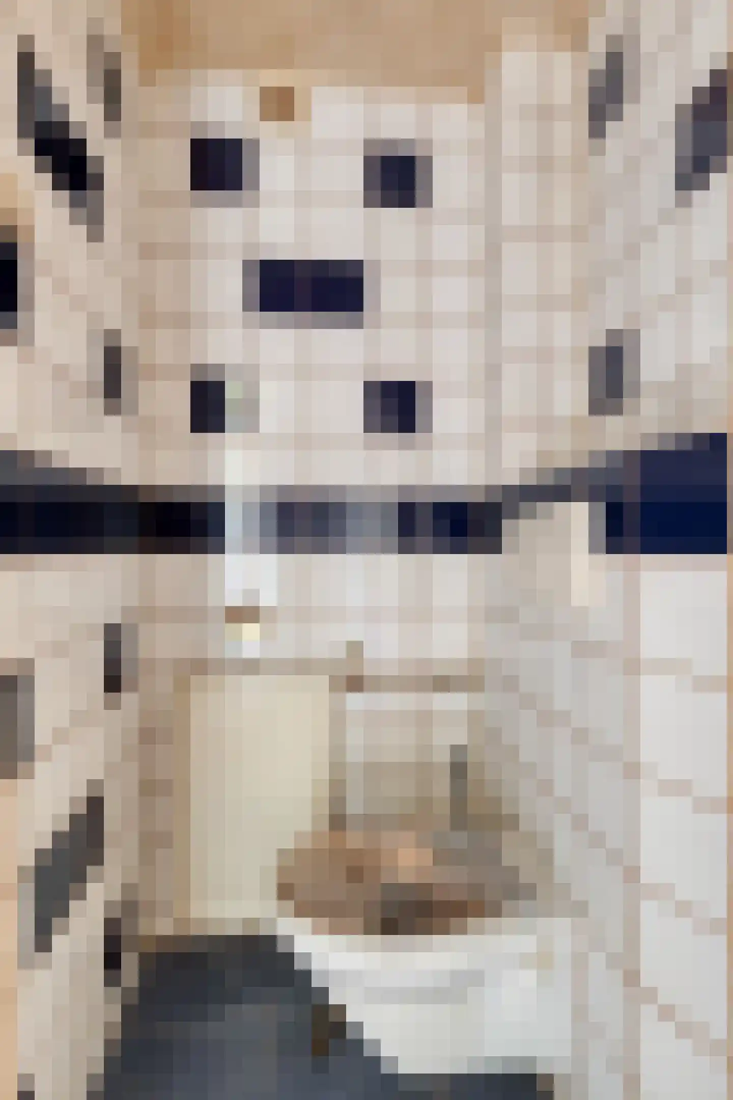 Waalstraat 2 d Krimpen aan den IJssel thumbnail 9