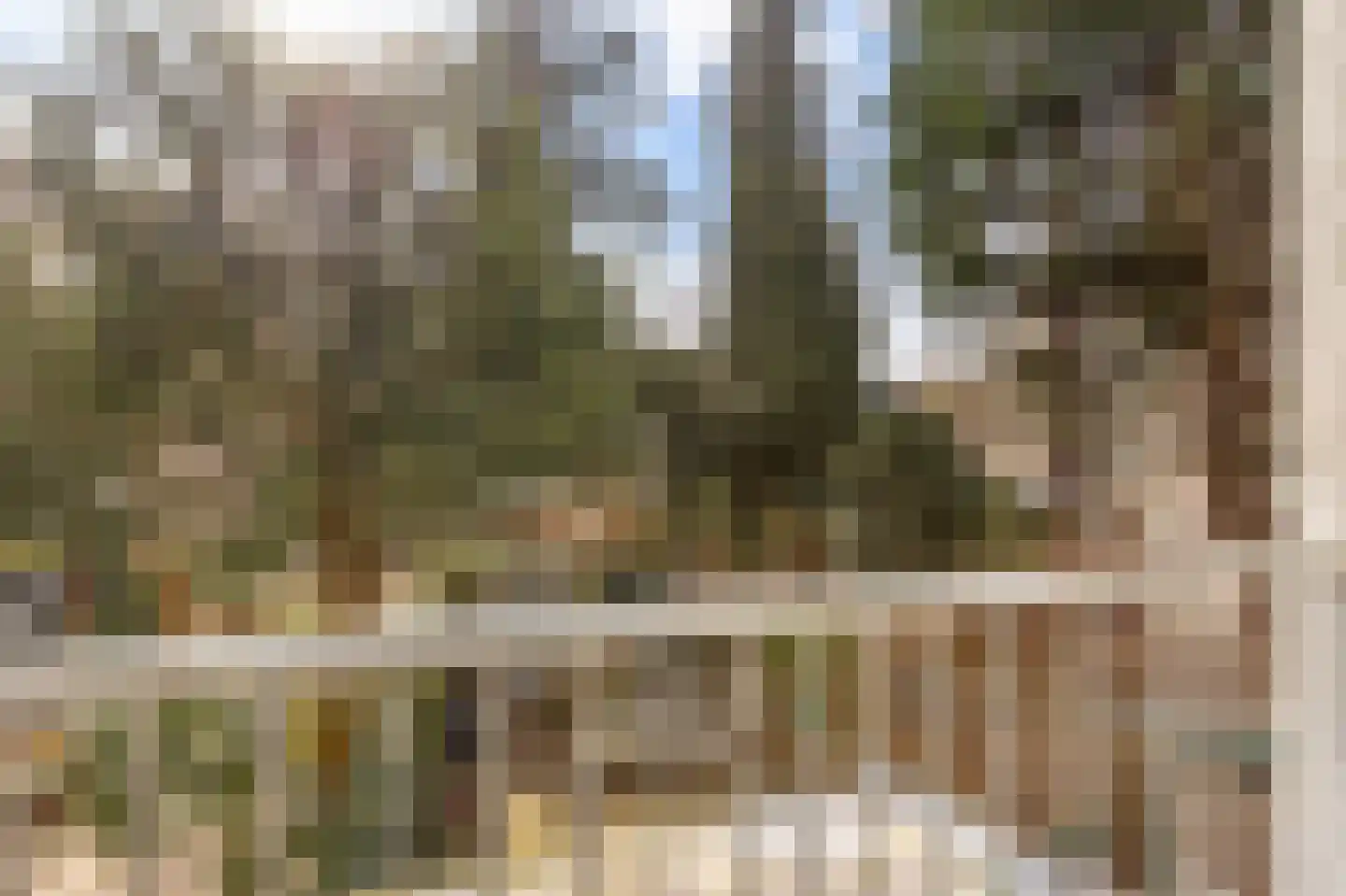 Waalstraat 22 3 Amsterdam thumbnail 23