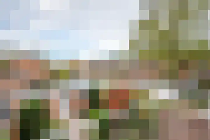 Waalstraat 22 Apeldoorn thumbnail 18