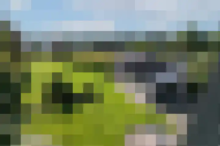 Waalstraat 25 Hengelo thumbnail 38