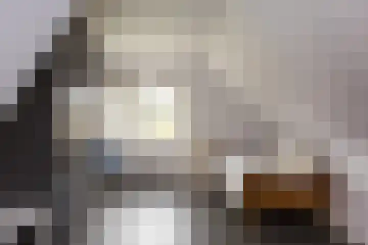 Waalstraat 25 Hengelo thumbnail 41