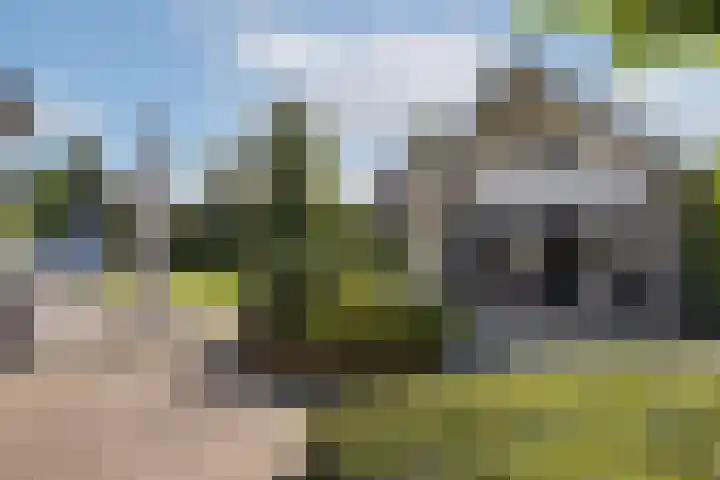 Waalstraat 25 Hengelo thumbnail 48