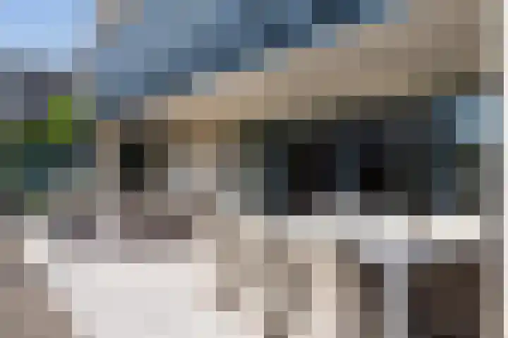 Waalstraat 25 Hengelo thumbnail 7