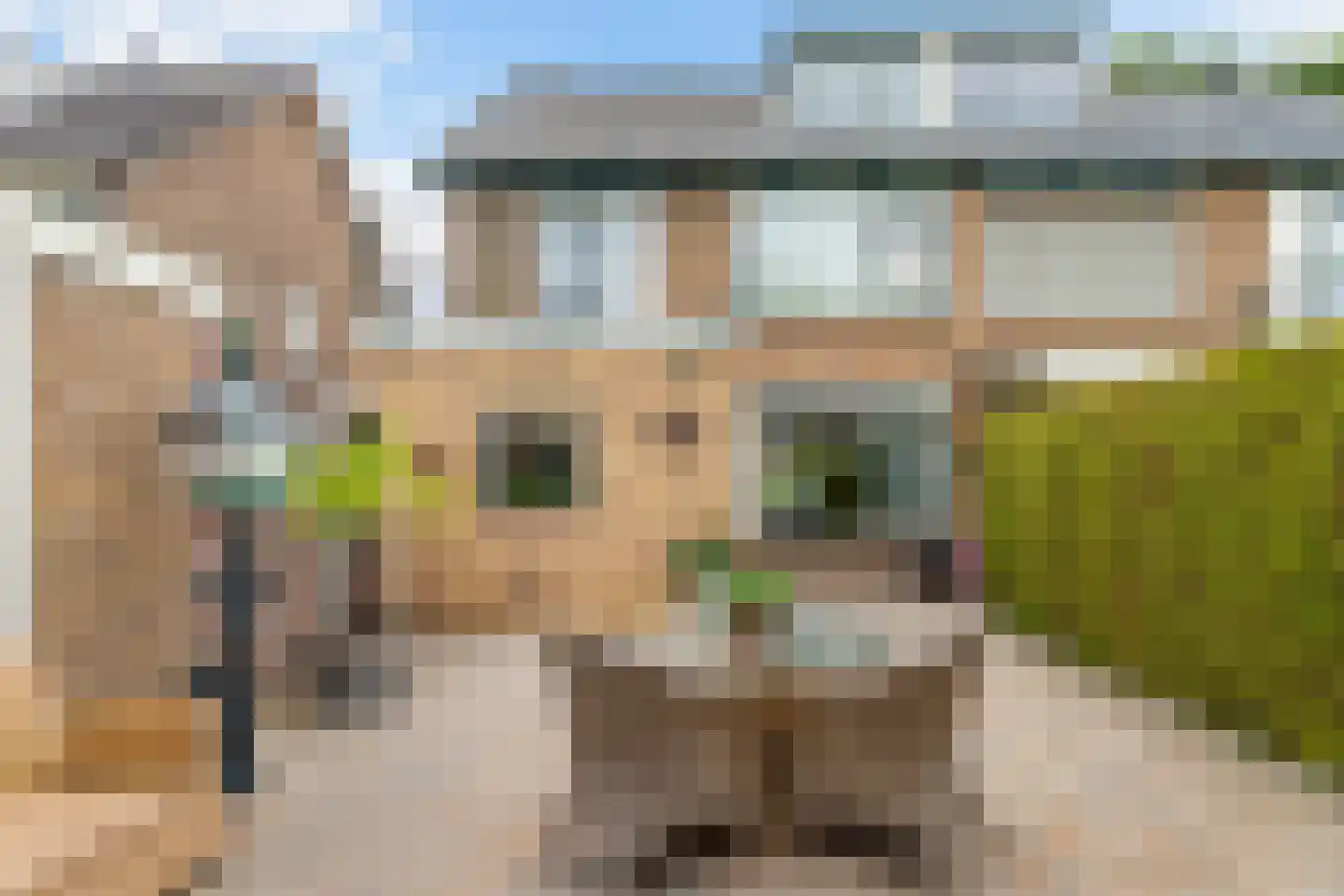 Waalstraat 26 Nieuwegein thumbnail 29
