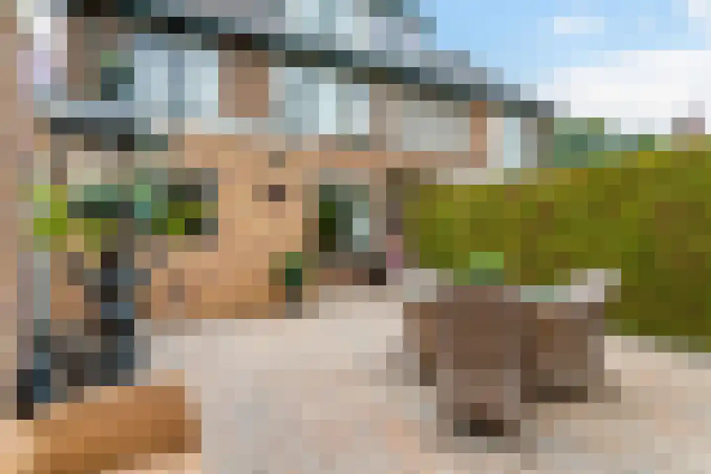 Waalstraat 26 Nieuwegein thumbnail 30