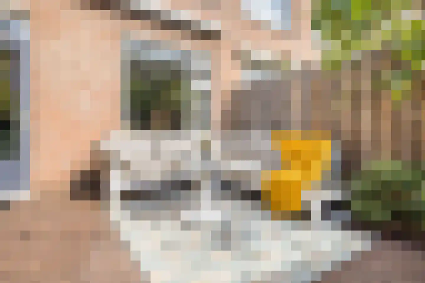 Waalstraat 26 Utrecht thumbnail 19