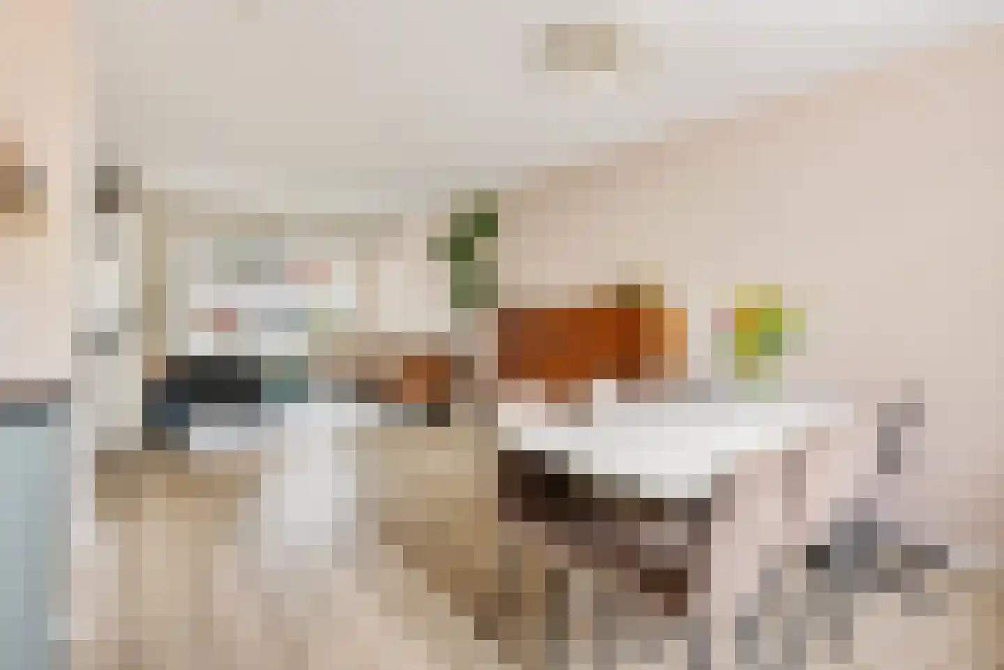 Waalstraat 26 Utrecht thumbnail 21