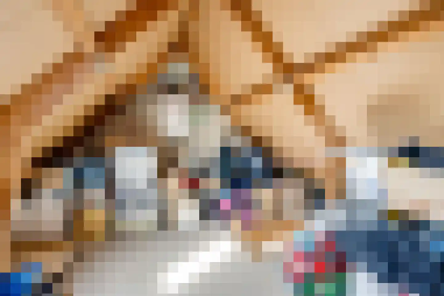 Waalstraat 26 Utrecht thumbnail 40