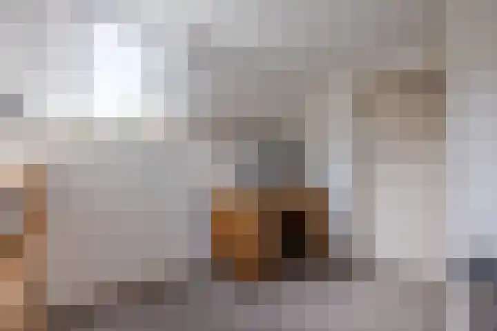 Waalstraat 27 Hengelo thumbnail 43