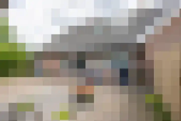 Waalstraat 27 Hengelo thumbnail 47