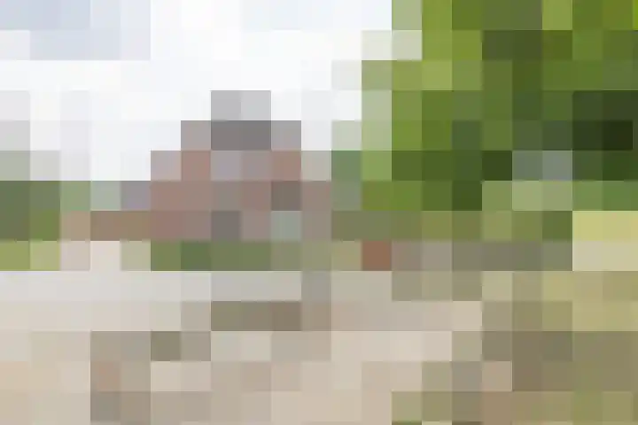 Waalstraat 27 Hengelo thumbnail 5